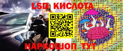 СК Обь