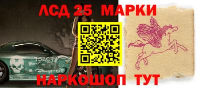 СК Обь