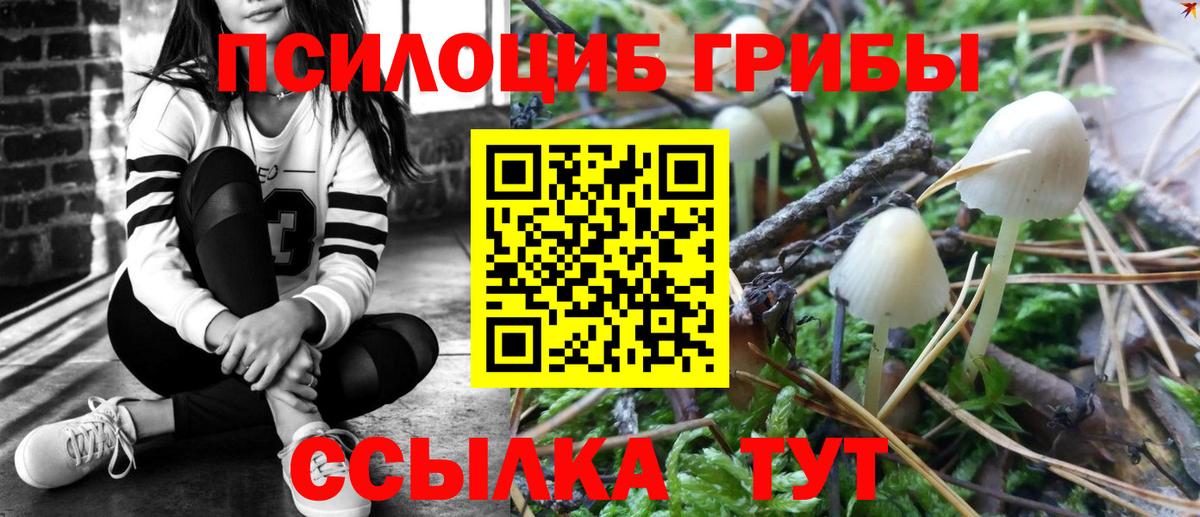 Галлюциногенные грибы мухоморы Сочи